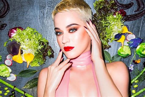 katy perry nippel|Katy Perry Goes Topless in ‘When I’m Gone’ Video